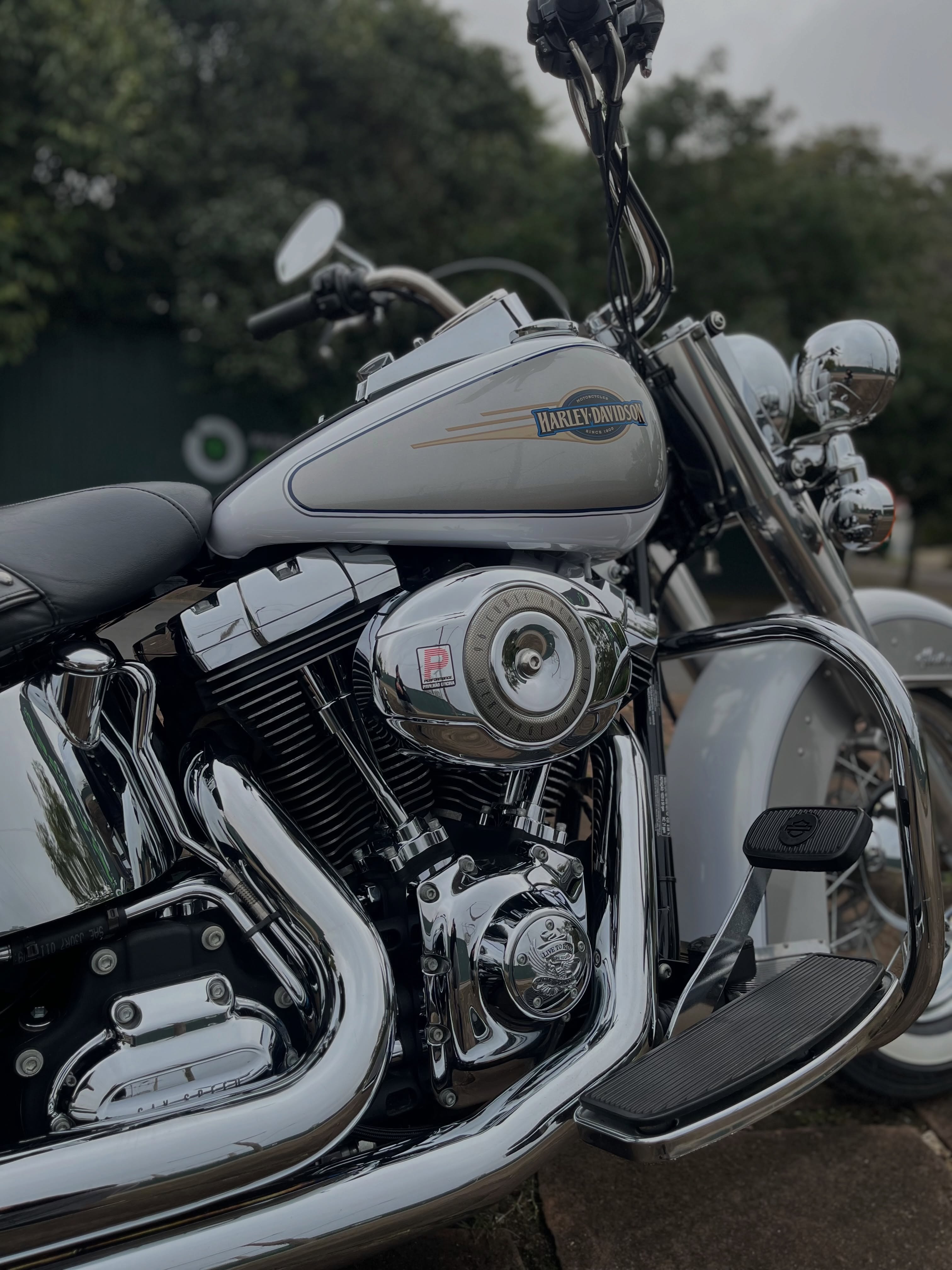 HARLEY-DAVIDSON HERITAGE - Imagem 3