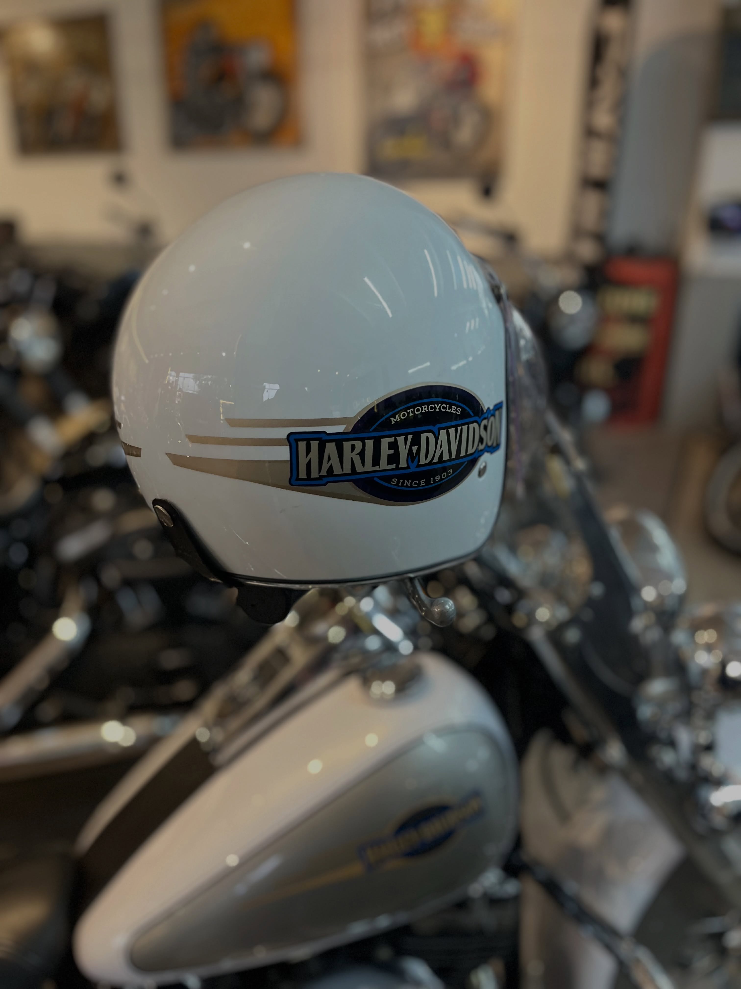 HARLEY-DAVIDSON HERITAGE - Imagem 8