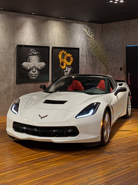 CHEVROLET CORVETTE STINGRAY C7 LT3 - Imagem 1