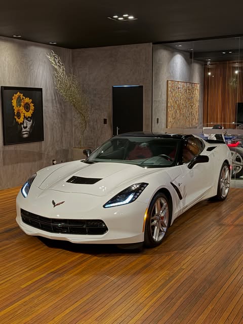 CHEVROLET CORVETTE STINGRAY C7 LT3 - Imagem 13