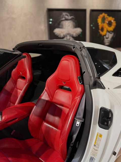 CHEVROLET CORVETTE STINGRAY C7 LT3 - Imagem 15