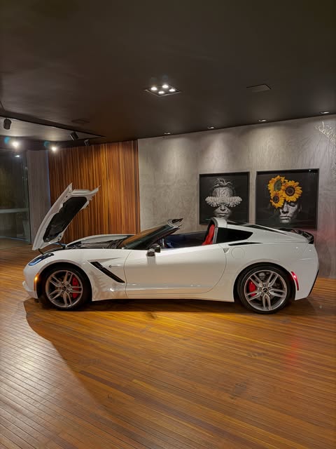 CHEVROLET CORVETTE STINGRAY C7 LT3 - Imagem 6