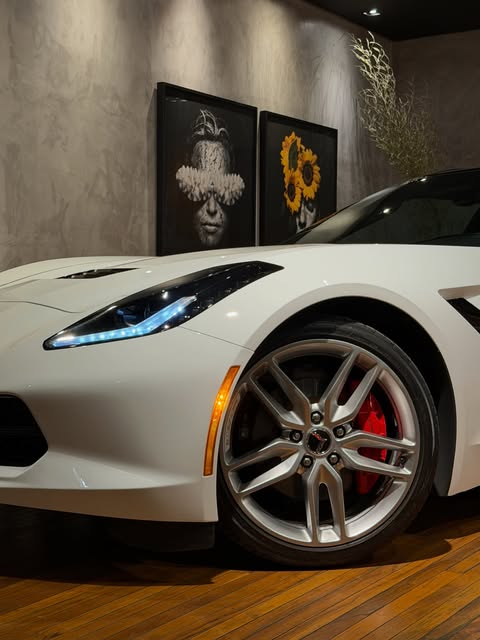 CHEVROLET CORVETTE STINGRAY C7 LT3 - Imagem 10