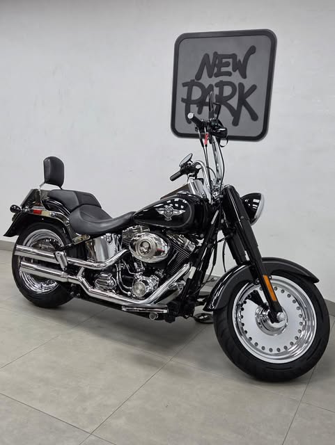 HARLEY-DAVIDSON SOFTAIL FAT BOY - Imagem 3