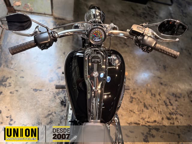 HARLEY-DAVIDSON BREAKOUT 117 - Imagem 9