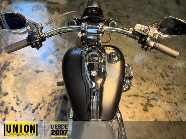 HARLEY-DAVIDSON BREAKOUT 117 - Imagem 9