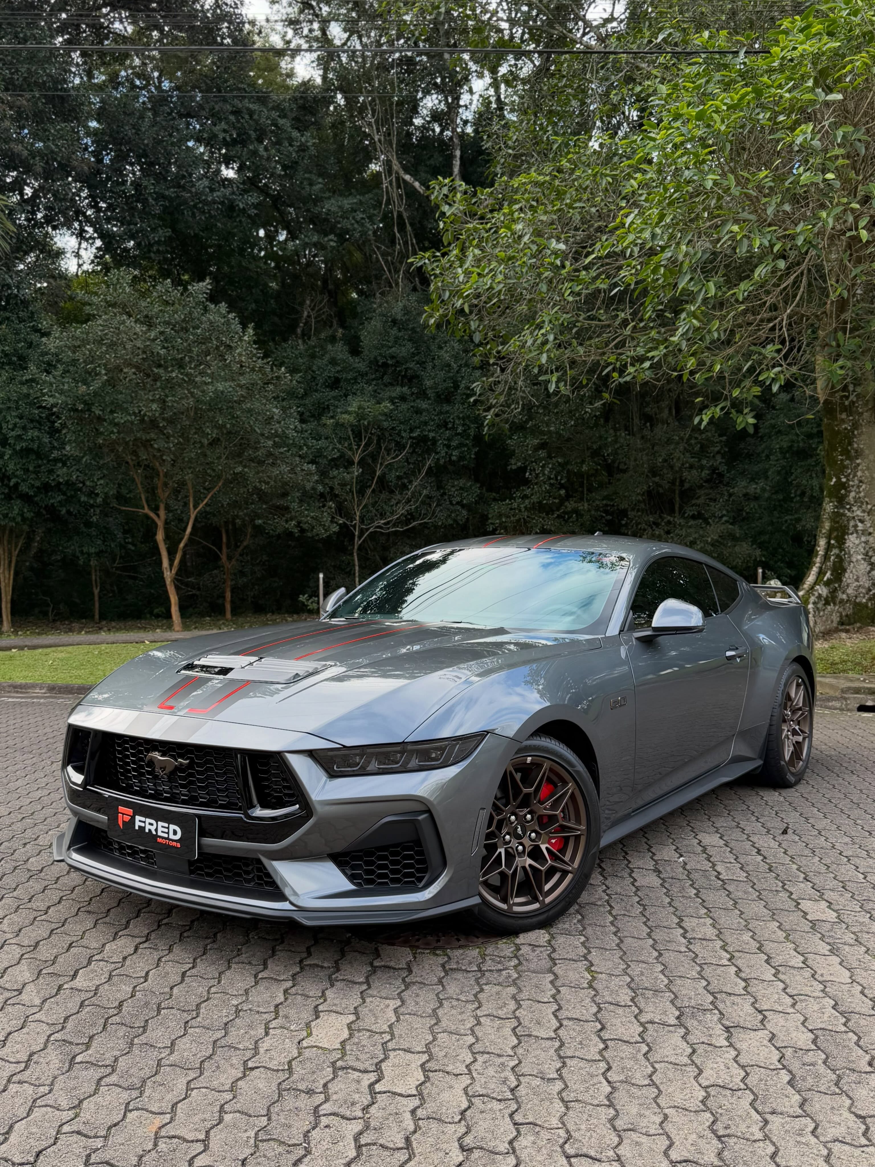 FORD MUSTANG GT PERFORMANCE 5.0 V8 - Imagem 1