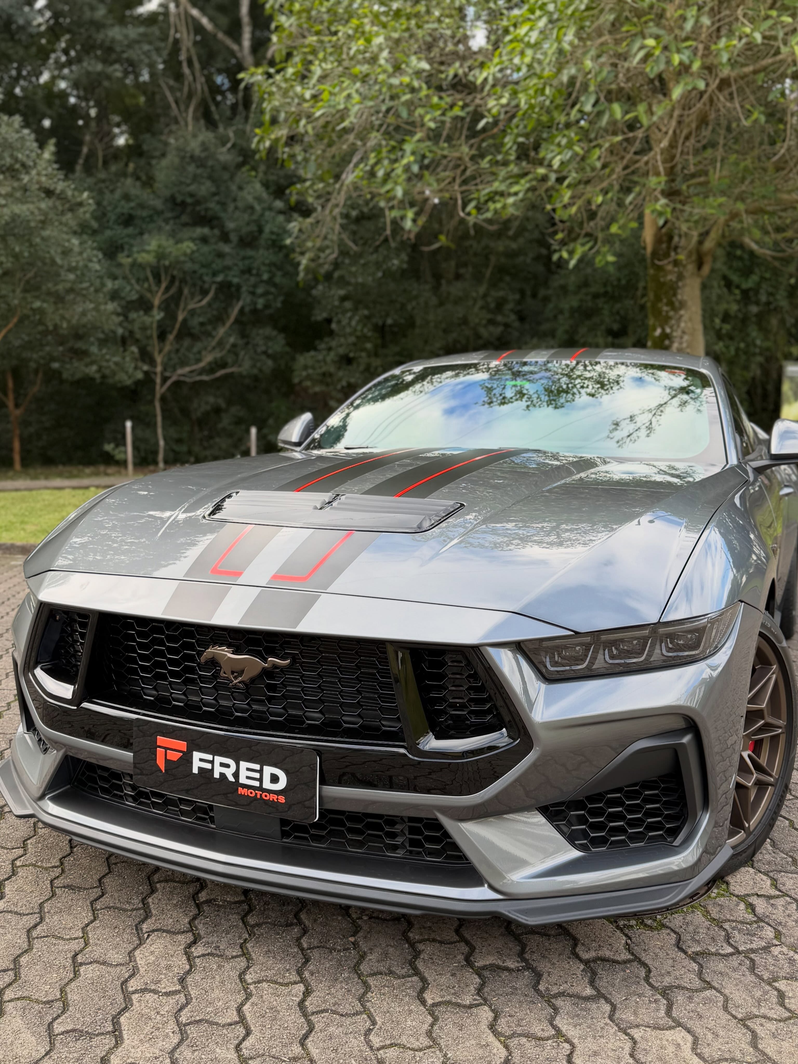FORD MUSTANG GT PERFORMANCE 5.0 V8 - Imagem 2