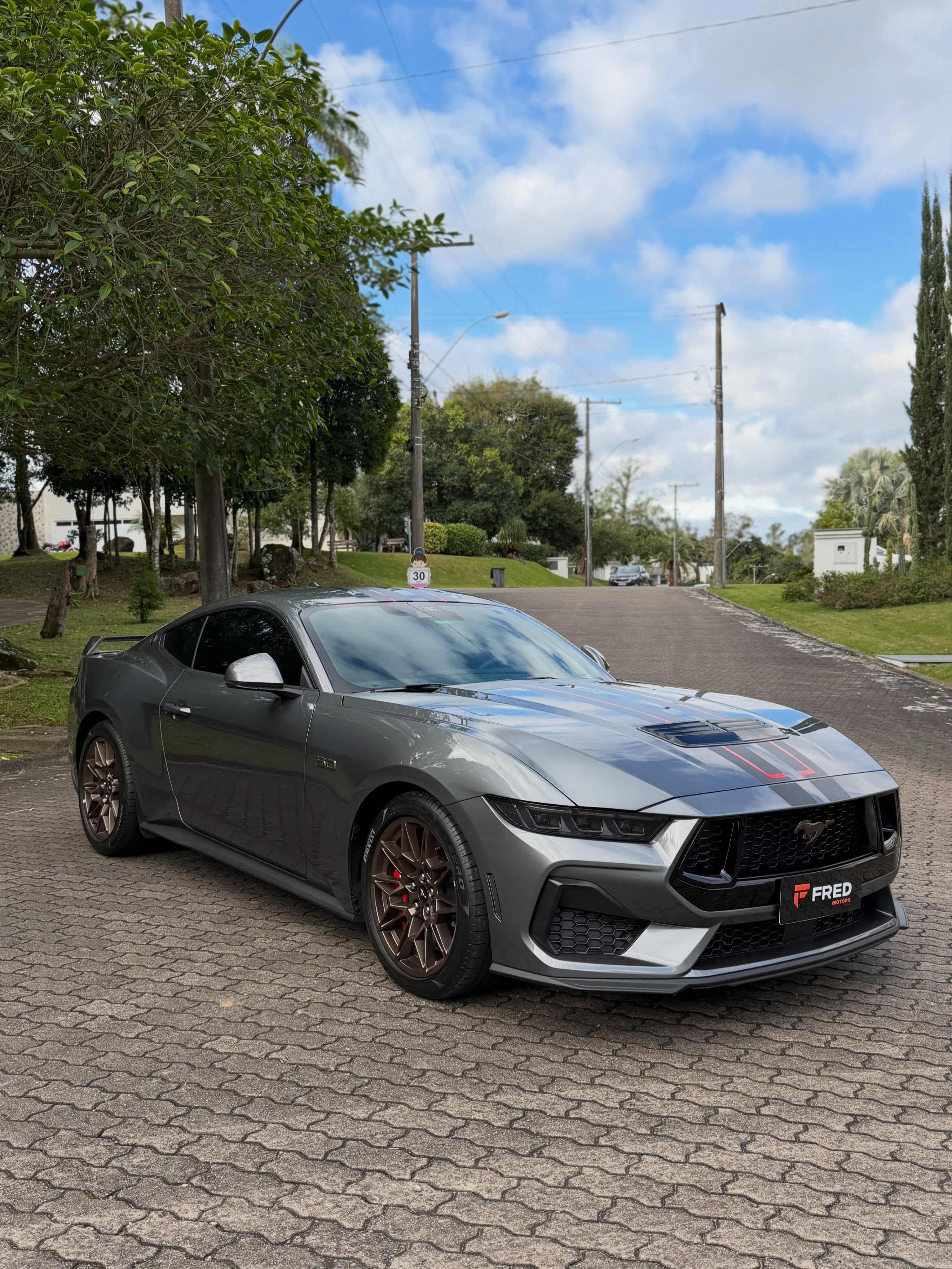 FORD MUSTANG GT PERFORMANCE 5.0 V8 - Imagem 13