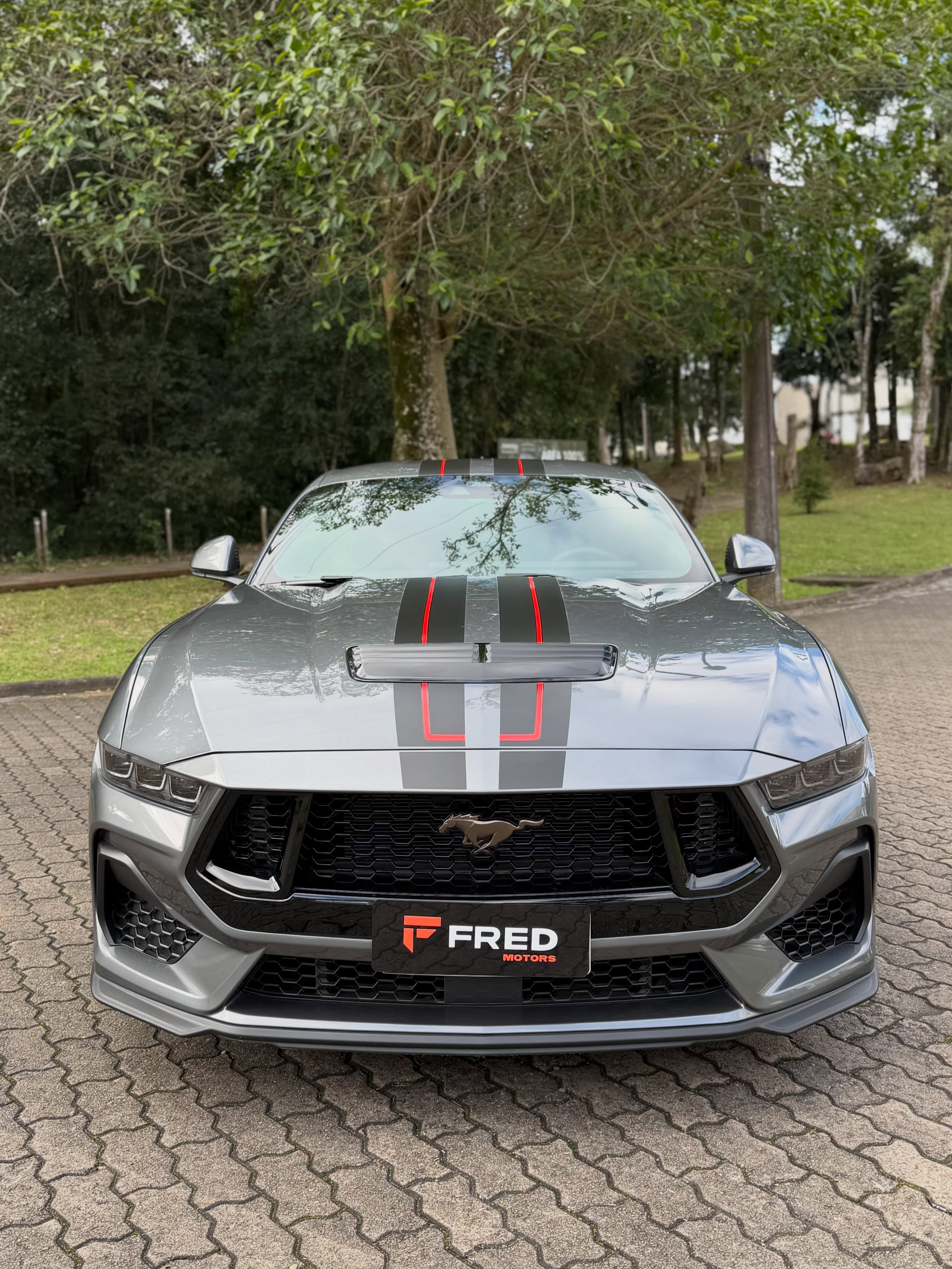 FORD MUSTANG GT PERFORMANCE 5.0 V8 - Imagem 3