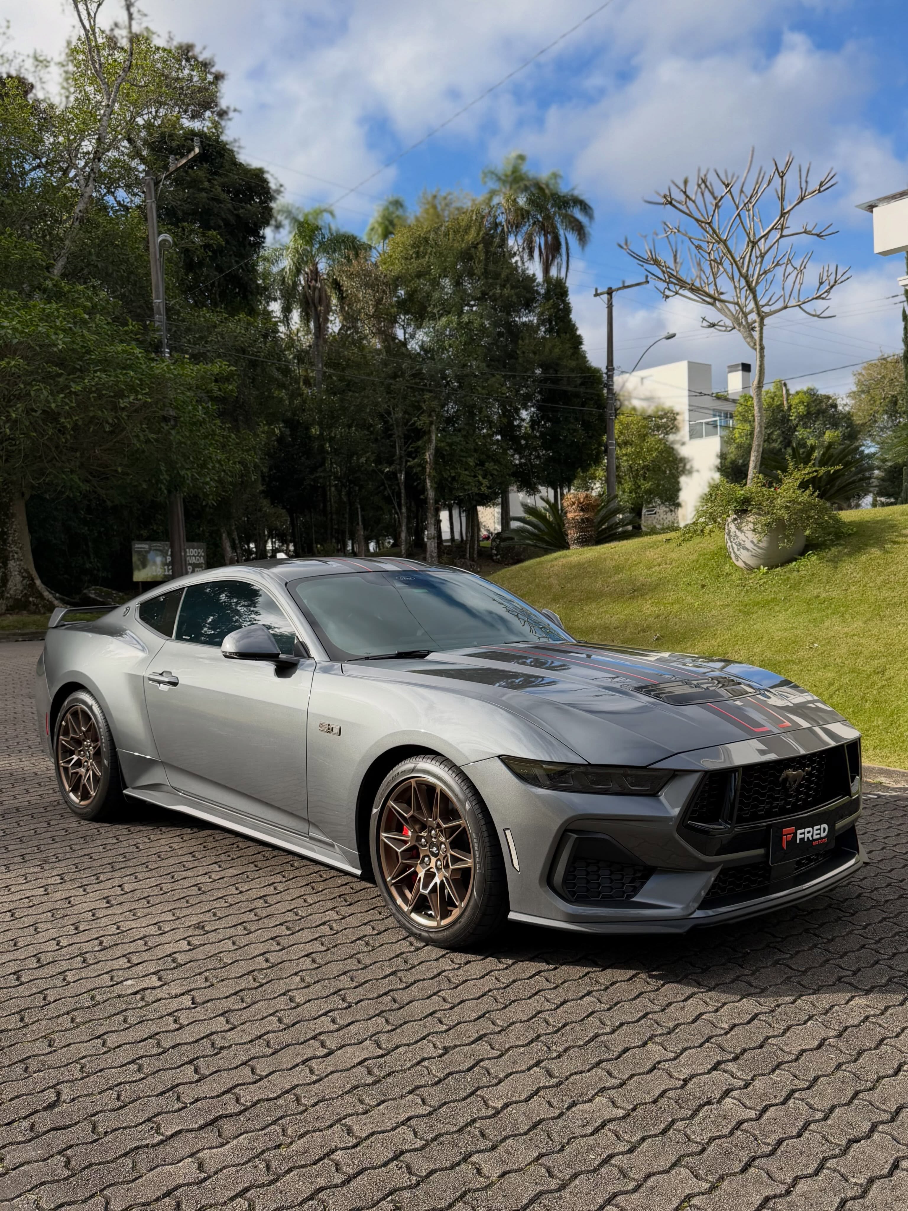 FORD MUSTANG GT PERFORMANCE 5.0 V8 - Imagem 4