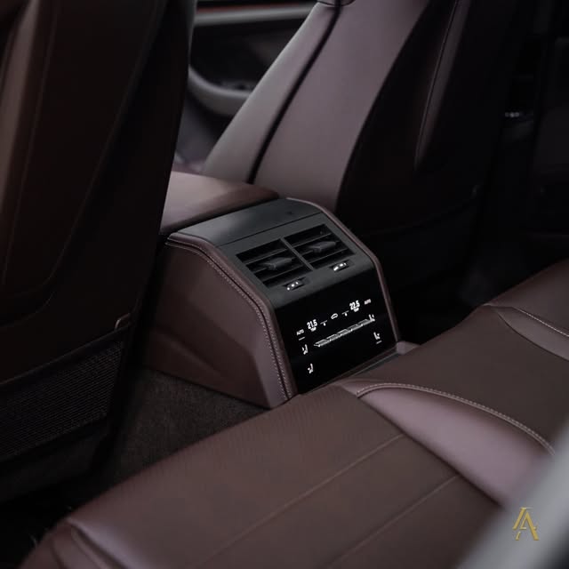 PORSCHE PANAMERA 4 E-HYBRID - Imagem 16