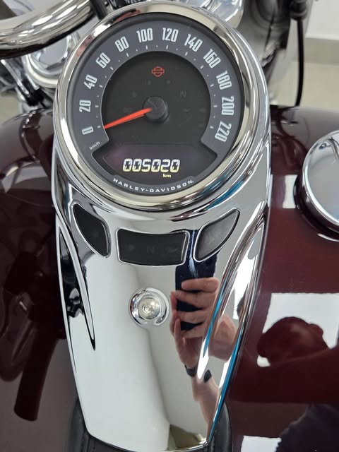 HARLEY-DAVIDSON SOFTAIL HERITAGE CLASSIC - Imagem 14