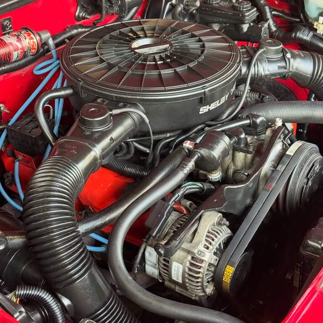 DODGE DAKOTA SHELBY - Imagem 16
