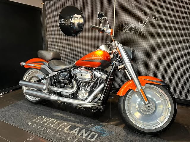 HARLEY-DAVIDSON FAT BOY - Imagem 2