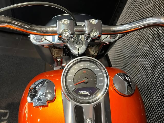 HARLEY-DAVIDSON FAT BOY - Imagem 7