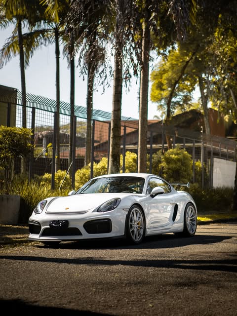 PORSCHE CAYMAN GT4 - Imagem 1