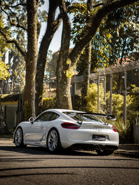 PORSCHE CAYMAN GT4 - Imagem 2
