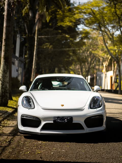 PORSCHE CAYMAN GT4 - Imagem 7