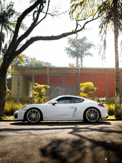 PORSCHE CAYMAN GT4 - Imagem 8