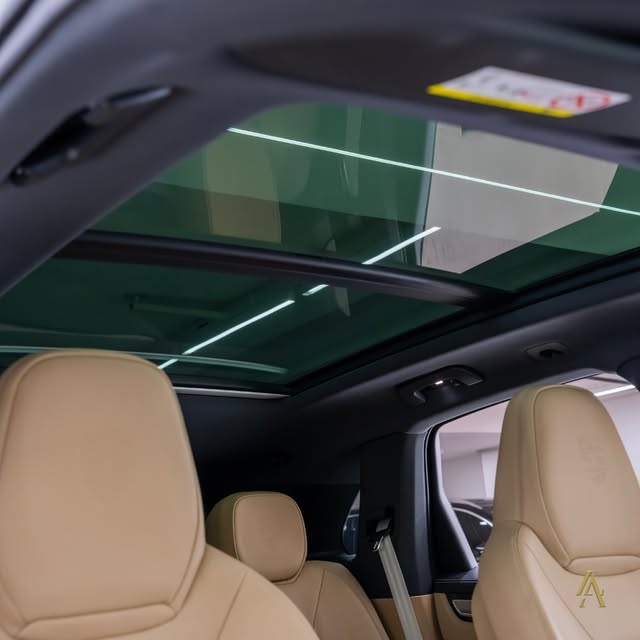 PORSCHE CAYENNE E-HYBRID PLATINUM EDITION - Imagem 12