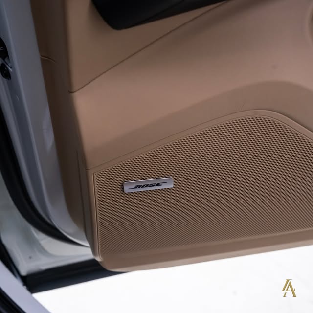 PORSCHE CAYENNE E-HYBRID PLATINUM EDITION - Imagem 13