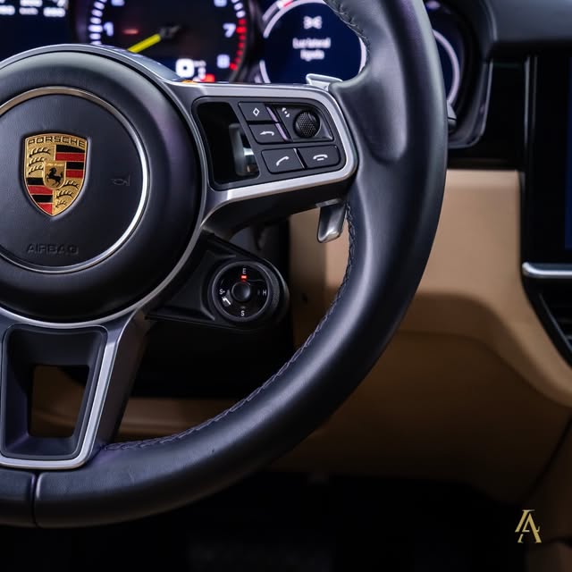 PORSCHE CAYENNE E-HYBRID PLATINUM EDITION - Imagem 18