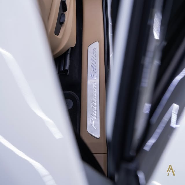 PORSCHE CAYENNE E-HYBRID PLATINUM EDITION - Imagem 19