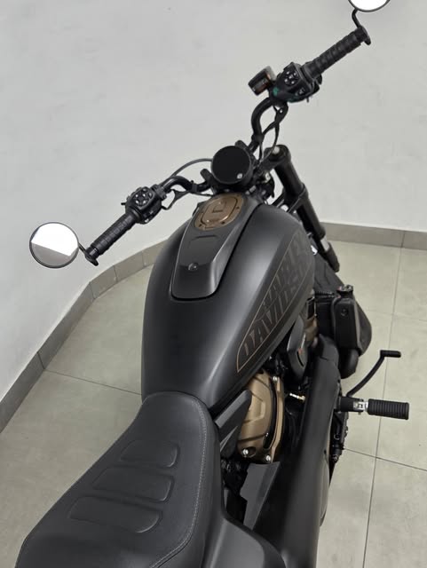 HARLEY-DAVIDSON SPORTSTER - Imagem 8