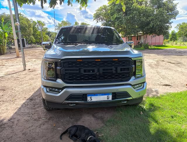 FORD F150 PLATINUM - Imagem 2