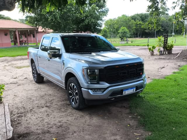 FORD F150 PLATINUM - Imagem 3