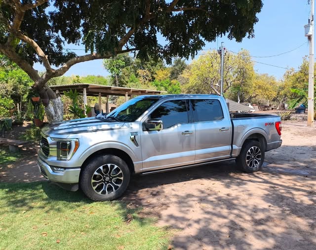 FORD F150 PLATINUM - Imagem 4