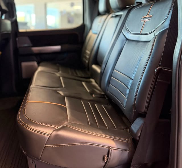 FORD F150 PLATINUM - Imagem 8