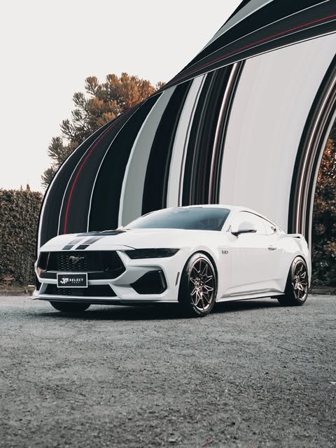 FORD MUSTANG GT MANUAL - Imagem 1