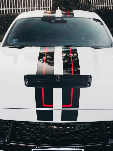 FORD MUSTANG GT MANUAL - Imagem 2