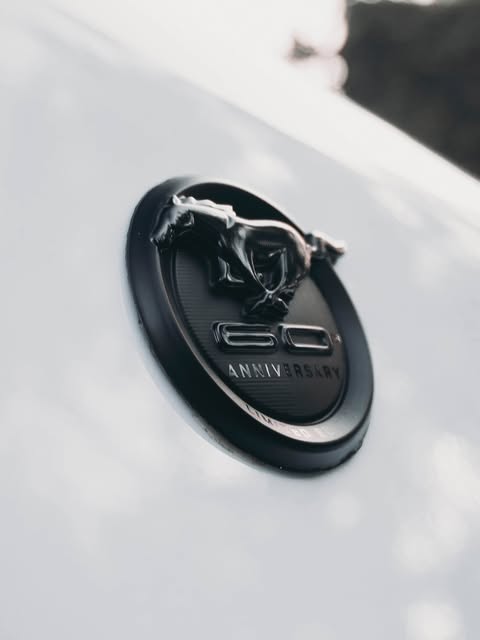 FORD MUSTANG GT MANUAL - Imagem 5