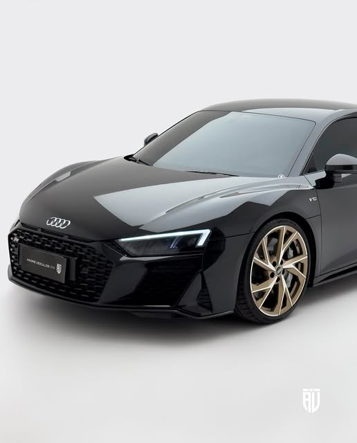 AUDI R8 PERFORMANCE V10 - Imagem 3