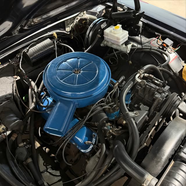 FORD LANDAU - Imagem 18