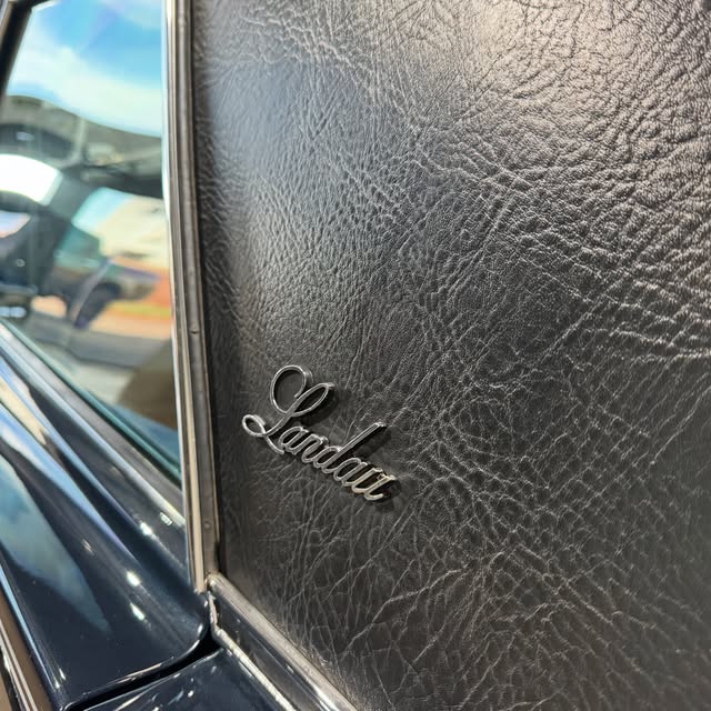 FORD LANDAU - Imagem 19