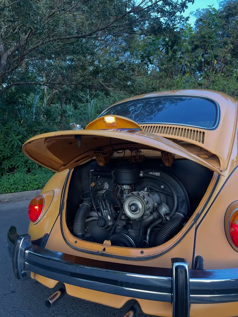 VOLKSWAGEN FUSCA - Imagem 9