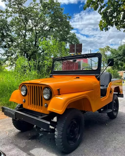 JEEP WILLYS - Imagem 2