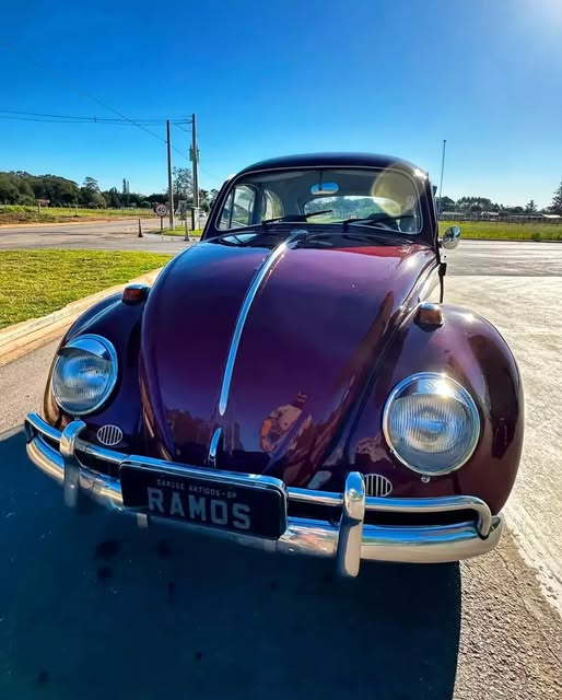 VOLKSWAGEN FUSCA - Imagem 11