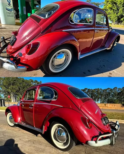 VOLKSWAGEN FUSCA - Imagem 14