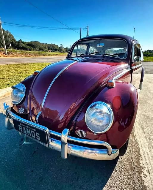 VOLKSWAGEN FUSCA - Imagem 7
