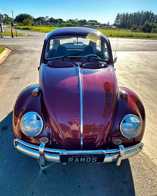 VOLKSWAGEN FUSCA - Imagem 8