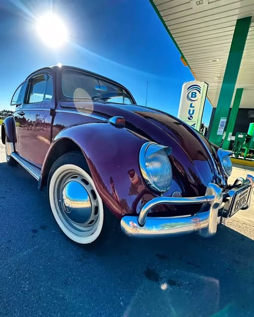 VOLKSWAGEN FUSCA - Imagem 10