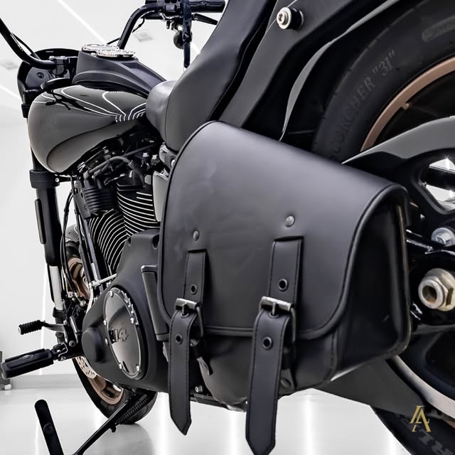 HARLEY-DAVIDSON LOW RIDER S - Imagem 14