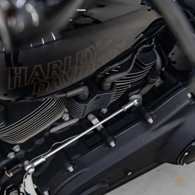 HARLEY-DAVIDSON LOW RIDER S - Imagem 15