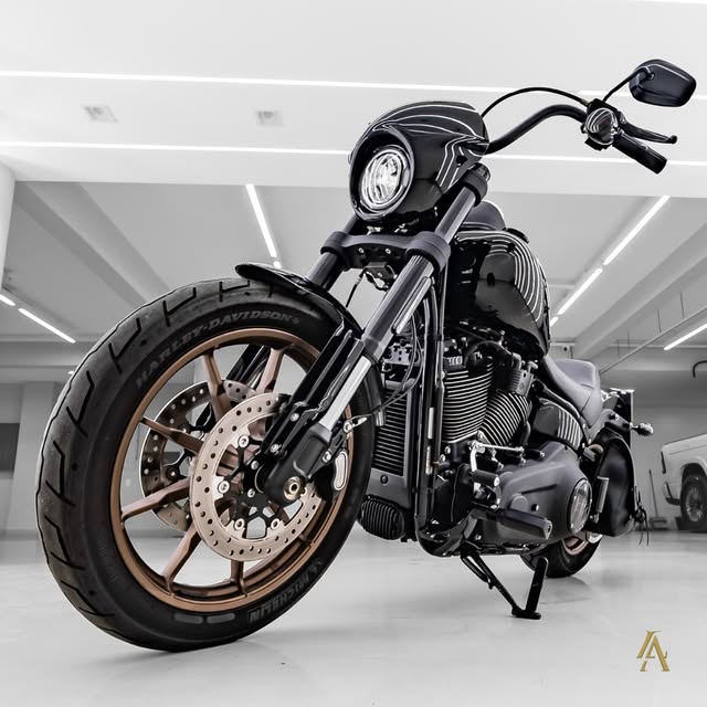 HARLEY-DAVIDSON LOW RIDER S - Imagem 17