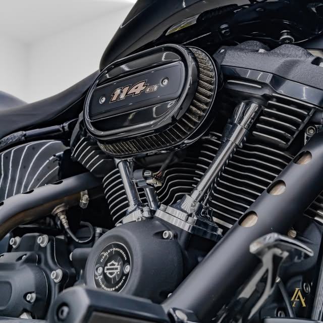 HARLEY-DAVIDSON LOW RIDER S - Imagem 20